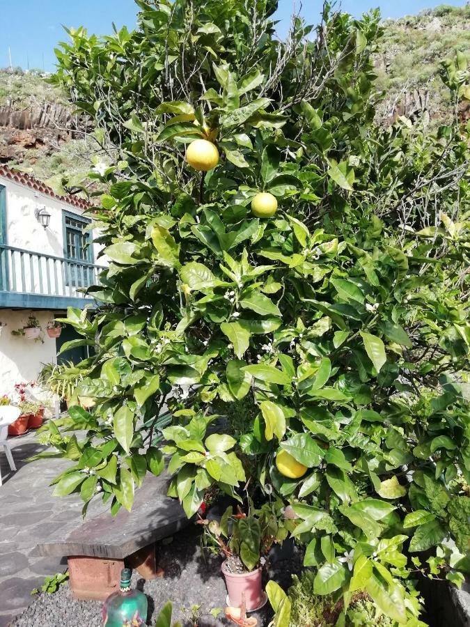 Grosse Finca 19Jh, Pool, Terrasse, Nahe Santa Cruz Santa Cruz de la Palma  Exteriér fotografie