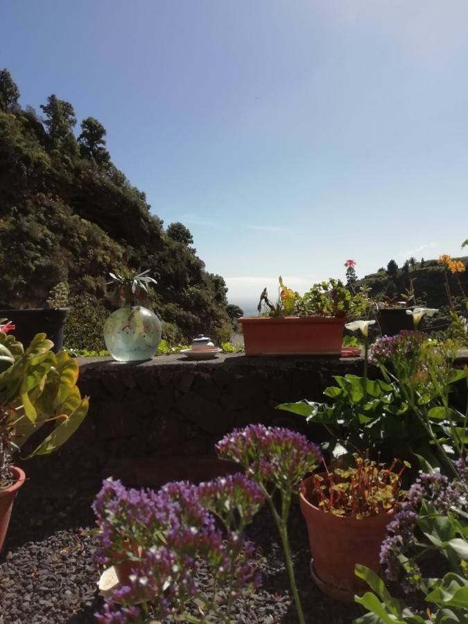 Grosse Finca 19Jh, Pool, Terrasse, Nahe Santa Cruz Santa Cruz de la Palma  Exteriér fotografie